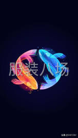 undefined - 求职大烫，中烫 - 图1