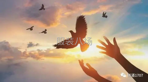 undefined - 求职服装厂生产主管，厂长 - 图1