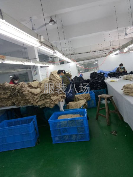 承接各类针织雪纺T恤夹克衫，本厂专做精品服装，质量保证，价格-第2张图片