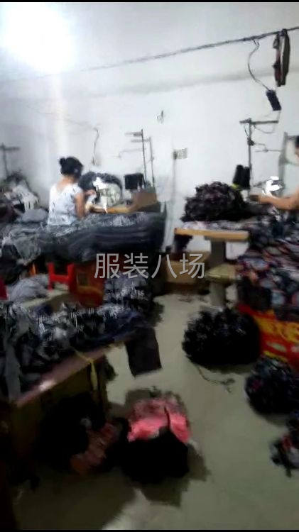 金叶服装厂-第2张图片