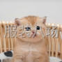 东莞市区 - 欢迎东莞虎门周边老板们来电