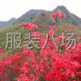 佛山市区 - 寻找天猫，淘宝，拼多多网单客户...