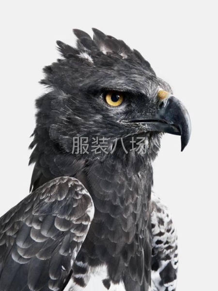 十年裁剪师傅找个晚上七点后的兼职-第1张图片