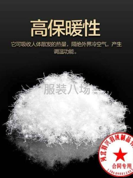 羽興羽絨 廠家直銷-第8張圖片