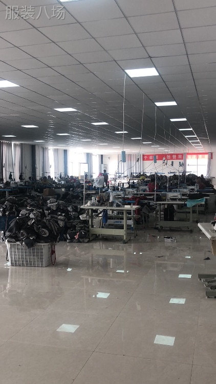 东海县洪庄自建标准化服装厂房低价转让-第4张图片