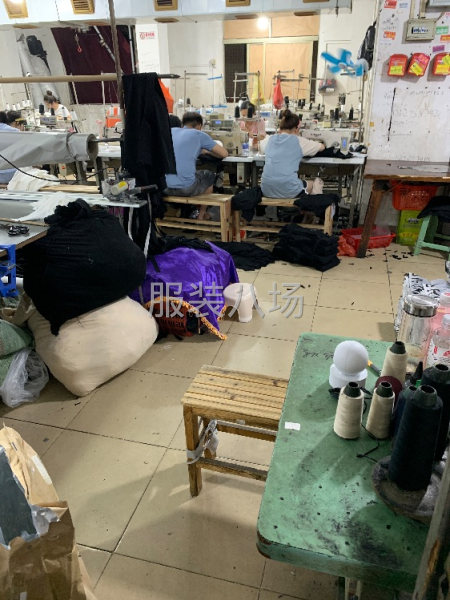 本廠專業(yè)生產(chǎn)褲子，短褲、短裙。-第1張圖片