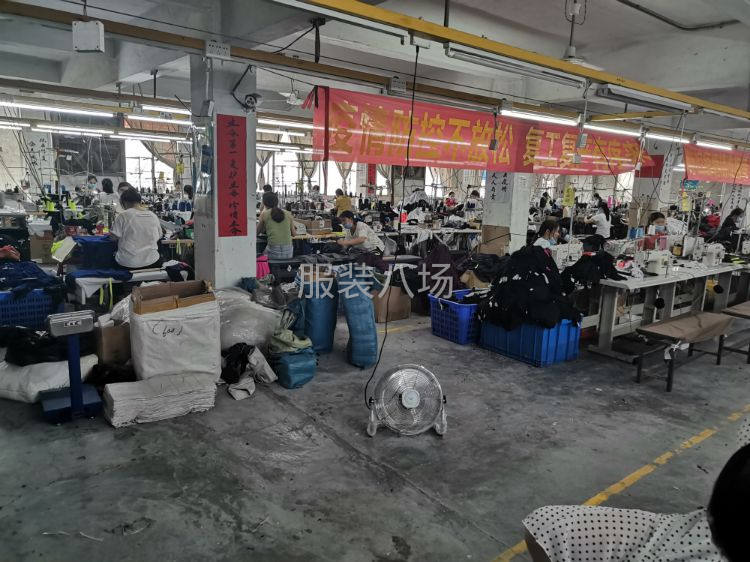 本加工厂大概15/20人-第1张图片