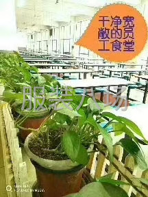 招整件车工-第1张图片