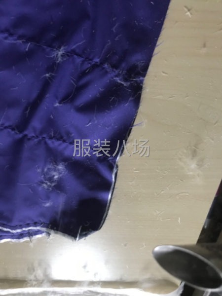 招充绒一名-第1张图片