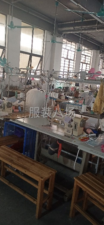 本厂专业针织，有固定工人20-30人-第2张图片