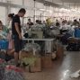 金华 - 义乌市 - 后宅周边 - 本厂生产t恤，衣服，裤子，裙子