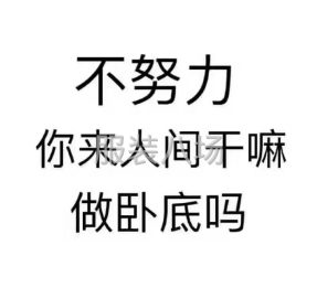 undefined - 诚信有保证，做工精细，期待能长期合作的老板来电 - 图1