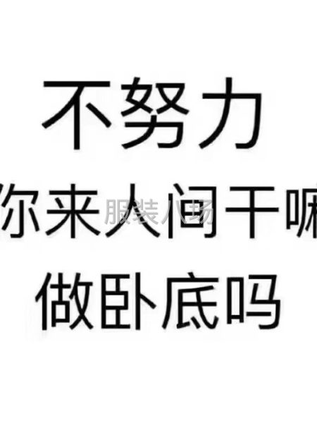 誠信有保證，做工精細(xì)，期待能長期合作的老板來電-第1張圖片