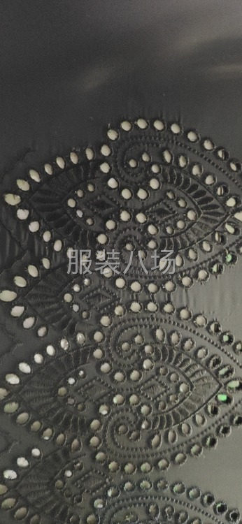 專業(yè)生產(chǎn)服裝面料繡花，花邊，雕孔繡，立體繡-第2張圖片