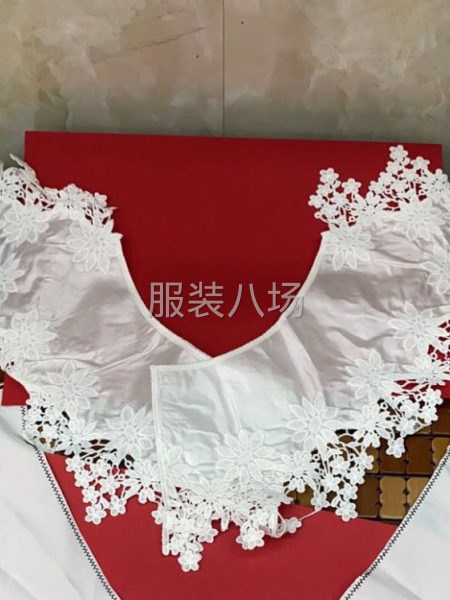 專業(yè)生產(chǎn)服裝面料繡花，花邊，雕孔繡，立體繡-第3張圖片