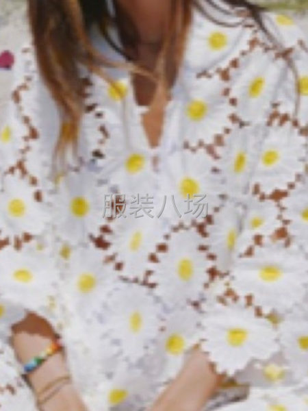專業(yè)生產(chǎn)服裝面料繡花，花邊，雕孔繡，立體繡-第1張圖片