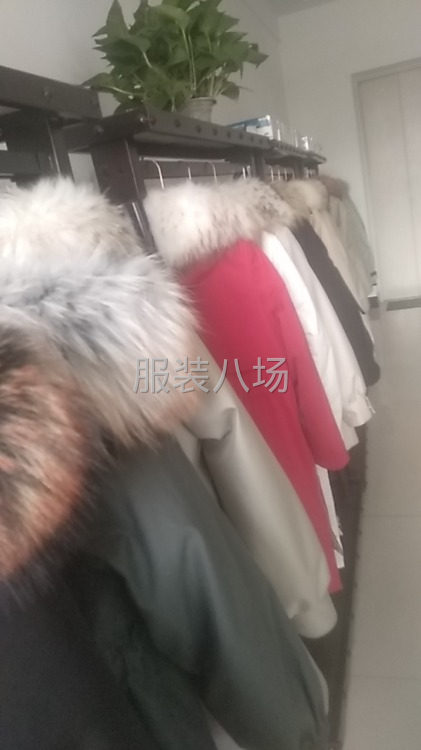 辛集皮草皮衣批发零售，诚招全国代理，支持一件代发-第2张图片