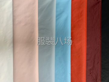 undefined - 常年生产尼龙涤纶四面弹面料，高密细薄的羽绒服面料，T400 - 图3