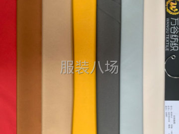 undefined - 常年生产尼龙涤纶四面弹面料，高密细薄的羽绒服面料，T400 - 图1