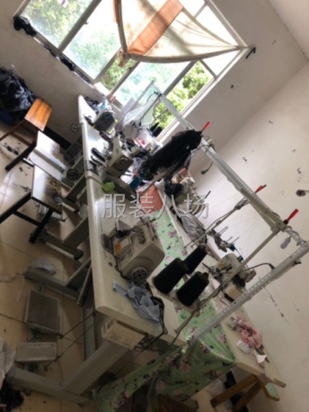我们服装清加工，来图，来样，裁片，服装加工制，时装-第1张图片