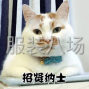 苏州 - 常熟市 - 虞山镇 - 因本厂生产需要招熟练车工