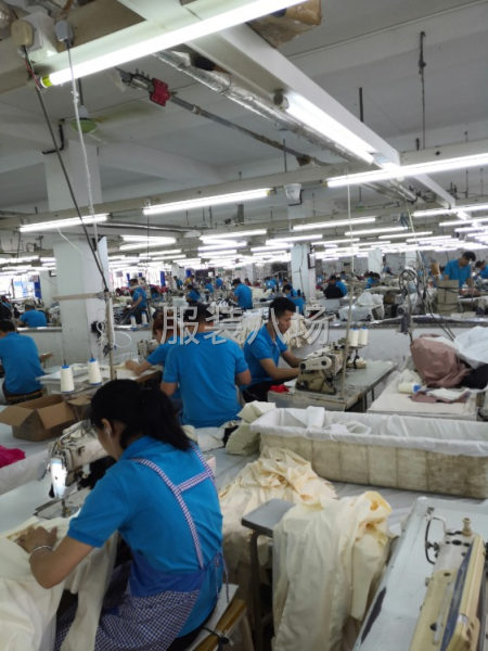 平湖市双龙衣业有限公司招聘-第1张图片