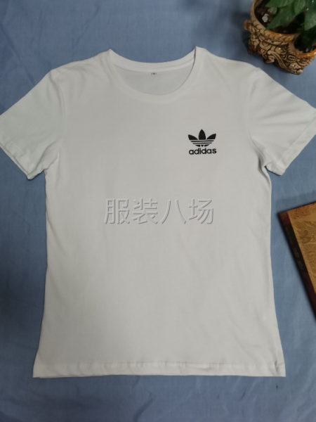有1000件纯棉圆领光板短袖，全清14元-第3张图片