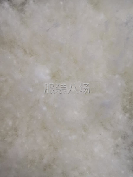 羽绒服旺季！！目前针对市场，开发了一款160元/公斤的羽绒-第2张图片