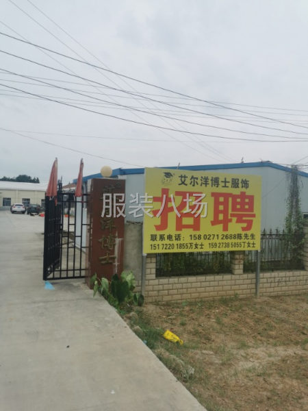 招主裁、副裁若干名-第1张图片