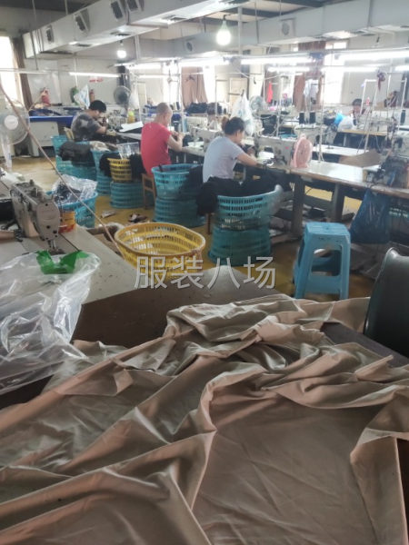 招聘半精做女装车工-第3张图片