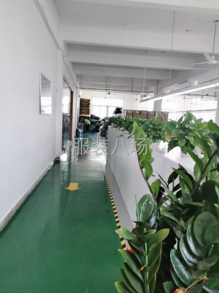 招聘生產(chǎn)文員一名，熟悉辦公軟件，懂服裝流程的優(yōu)先-第1張圖片