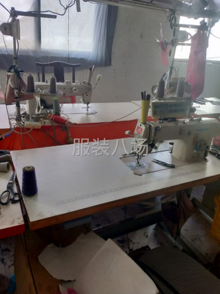 服裝加工廠-第1張圖片