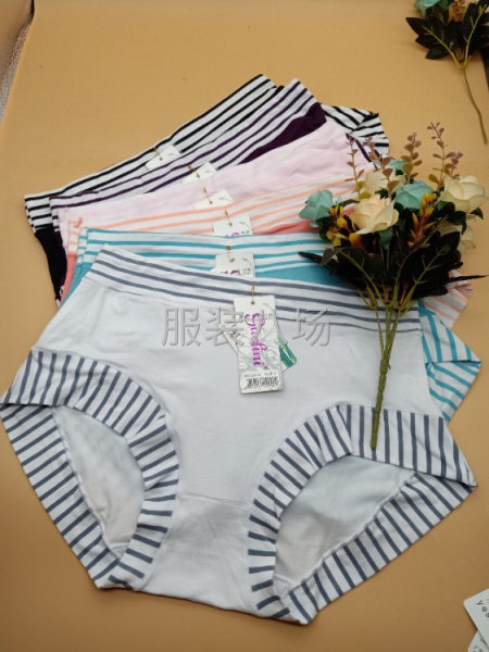 专业生产女庄中低端内裤-第3张图片