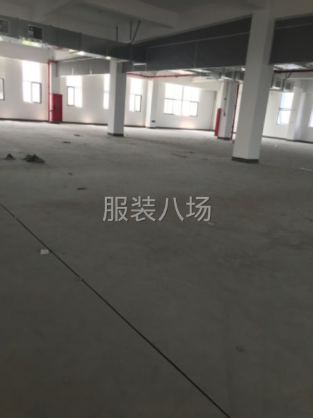 出租莫城三塘1500平。3000平 大货梯可裁剪-第1张图片