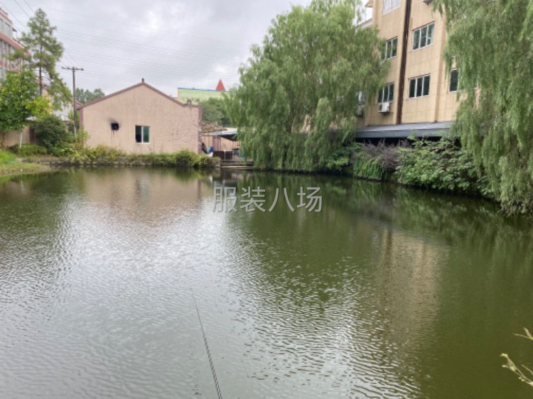 【崇福厂房转租】独门独院20W出头，两千平环境优越-第5张图片