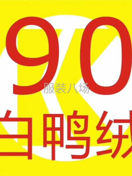 低價(jià)出售5090白鴨絨-第1張圖片