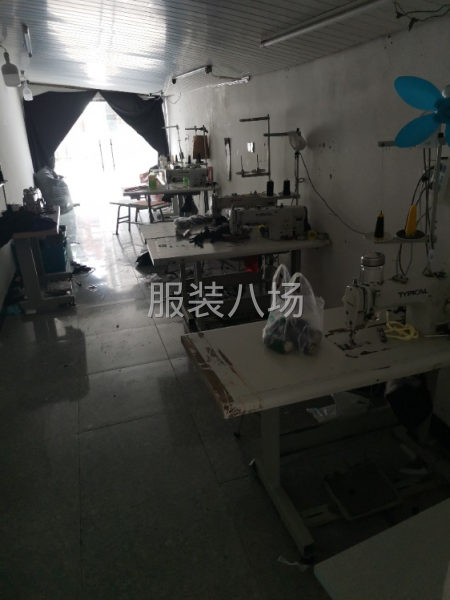有5人男装女装都能做-第1张图片