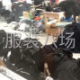 嘉兴 - 桐乡市 - 濮院周边 - 短袖圆领，鸡心，裤子