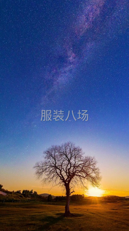 有十来个人-第1张图片