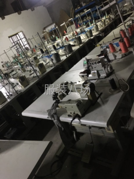 求购服装厂转让的整厂缝纫机设备-第1张图片