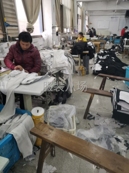 招针织车工，外发主管-第1张图片