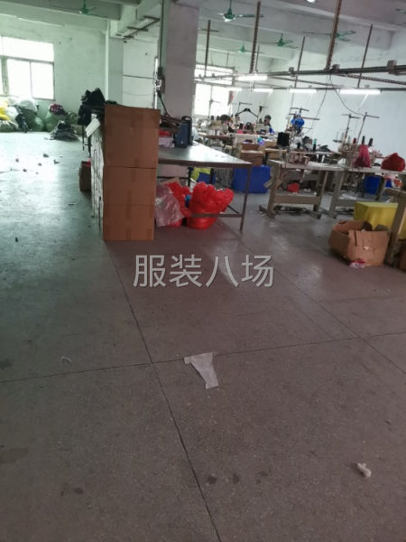 诚信第一，异常勿扰-第1张图片