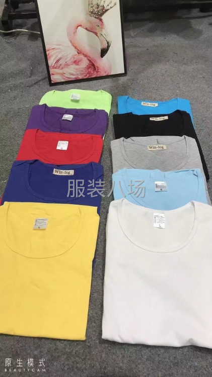 女士短袖T恤，多色，S-2XL
工厂刚做出来的新货，-第2张图片