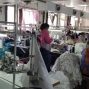 广州市区 - 专业针织加工厂寻开年合作客户