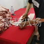 中山市区 - 制衣厂服装加工厂寻找档口，电商...