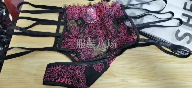 1200件內衣內褲/女士文胸/泳衣/內衣/女裝/手工外發-第1張圖片