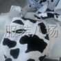 杭州 - 临平区 - 乔司 - 网店市场批发老板联系