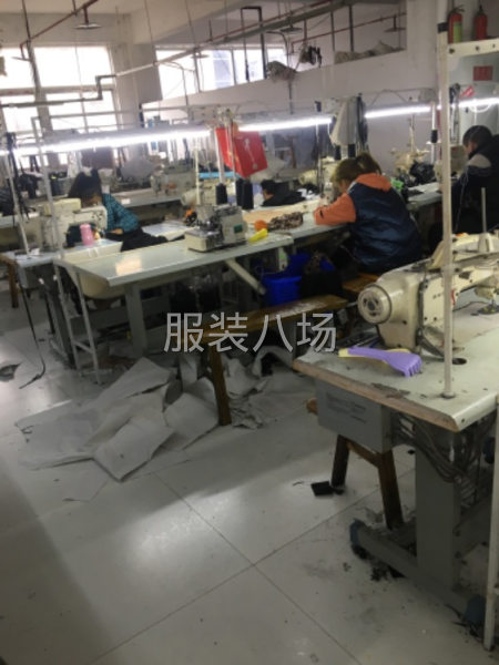 招缝纫整件车工-第2张图片