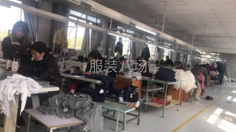 undefined - 无锡依彩服饰 - 图1