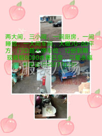 undefined - 三星附近，有意着联系 - 图1